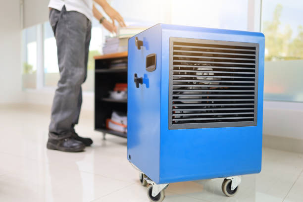 Best Air Quality Testing for Mold Spores  in Waukon, IA